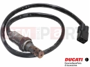 DUCATI 2019 Monster 821 55214011A - Oxygen sensor - Lambda sensor