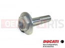 DUCATI 2004 Multistrada 1000 77913051A - Vis