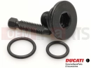 DUCATI 2012 Diavel Carbon 77140141A - Vis