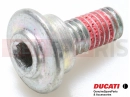 DUCATI 2014 HYPERSTRADA 77211261A - Vis