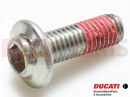 DUCATI 2021 Monster 821 77244538BA - Vis