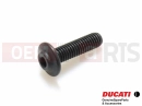 DUCATI 2015 Diavel 2 pc - 77210861B - Vis