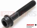DUCATI 2016 Hyperstrada 939 2 pc - 77140723C - Vis