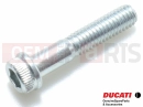 DUCATI 2012 Multistrada 1200 ABS 2 pc - 77156718B - Vis