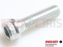 DUCATI 2014 HYPERSTRADA 2 pc - 77156688B - Vis