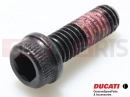 DUCATI 2012 Diavel Carbon 2 pc - 77110401B - Vis