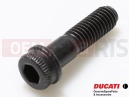 DUCATI 2013 HYPERSTRADA 2 pc - 77157273B - Vis
