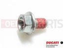 DUCATI 2009 Multistrada 1100 2 pc - 77210461B - Vis