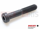 DUCATI 2015 Diavel Titanium 77351303B - Vis