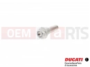 DUCATI 2012 Diavel 5 pc - 77251018B - Vis