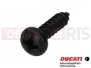 DUCATI 2012 Multistrada 1200 5 pc - 77450131A - Vis