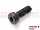 DUCATI 2017 Multistrada 950 5 pc - 77350403B - Vis