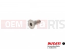 DUCATI 2000 Monster 900 77750197E - Vis