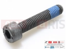 PIAGGIO Fly 150 10 pc - 1A003115 - Vis