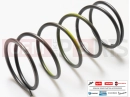 PIAGGIO Liberty 125 Poste B019193 - Spring