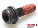 DUCATI 2024 Monster 77140663CD - Vis