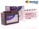 Bateria (YTR4A-BS)