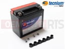Battery (YTX12-BS)