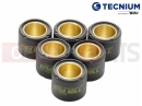 Variatorrolle (19x15.5 - 7g)