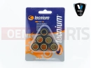 Variatorrolle (19x15.5 - 7.5g)