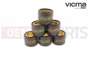 Variatorrolle (19x15.5 - 8,5g)