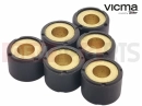 Variator Roll (20x15 - 11.5g)
