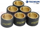 Variator Roll (23x18 - 20g)