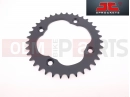 Pinion spate (36)