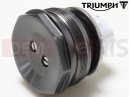 Triumph 2017 THRUXTON R T2041666 - Fork Bolt, P/Comp