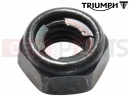 Triumph 2014 THUNDERBIRD COMMANDER T2046521 - Nut, Pivot Bolt