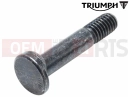 Triumph 2014 THUNDERBIRD COMMANDER T2046524 - Pivot Bolt