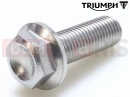 Triumph 2014 THUNDERBIRD COMMANDER T3151033 - Vis
