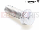 Triumph 2015 THUNDERBIRD LT T3205064 - Vis