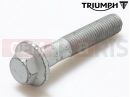 Triumph 2000 TT600 T3330134 - Vis