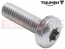 Triumph 2015 THUNDERBIRD COMMANDER T3331234 - Vis