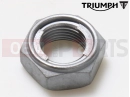 Triumph 2014 THUNDERBIRD COMMANDER T3350118 - Locknut, Plain, M18