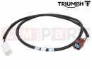 Triumph 2014 THUNDERBIRD COMMANDER T3880123 - Extension Cable