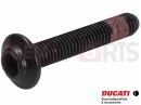 DUCATI 2017 Scrambler Desert Sled 2 pc - 77244403BA - Vis