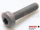 DUCATI 2021 Multistrada V4 77942002A - Vis