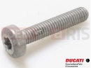 DUCATI 2024 Scrambler Nightshift 77942032A - Vis