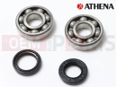 Crankshaft bearing kit