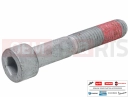 MOTOGUZZI V85 TT Strada E5+ (EU) 2B004798 - Vis