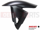 DUCATI 2024 Panigale V2 56416632AK - Front mudguard