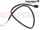 Triumph 2017 THRUXTON R T2024946 - Microswitch