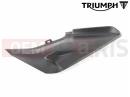 Triumph 2021 TRIDENT 660 T2313232 - Side Panel, RH, Mldg