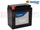 Battery (BTX14-FA, YTX14-BS)