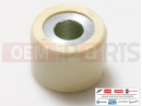 CM309701 - Variator Roll (20x19 - 19g)
