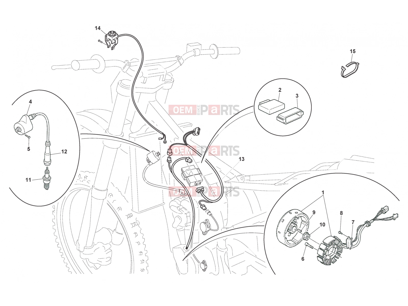HUSQVARNA 2010 TE-TC-TXC 250 ENGINE ELECTRONICS (TC)