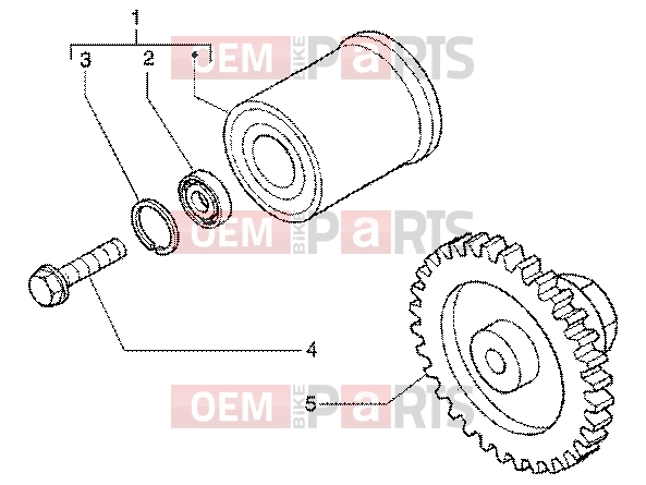 PIAGGIO Engine » Torque limiting device-damper pulley