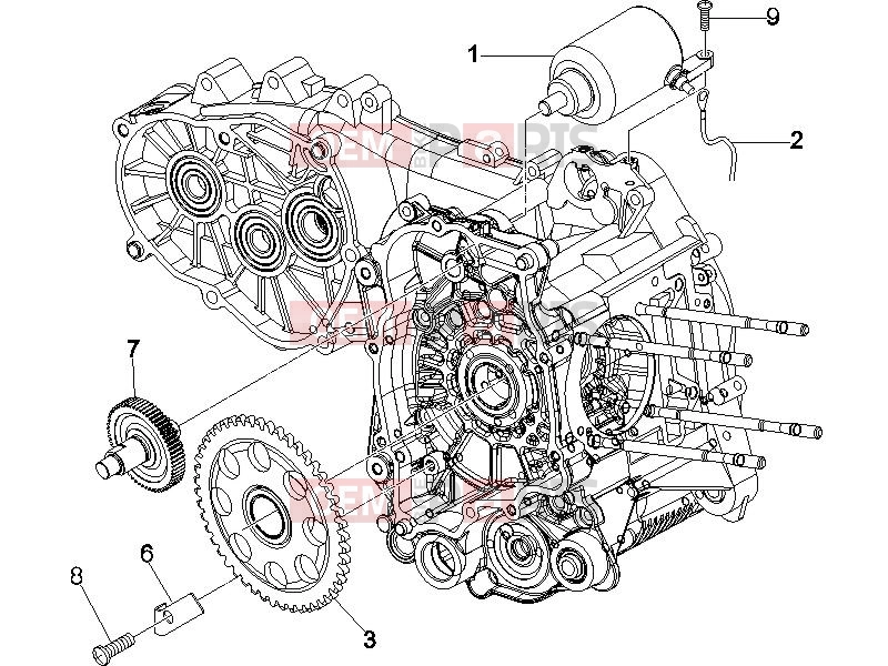 PIAGGIO X9 250 Evolution motorikus alkatrészek  » önindító